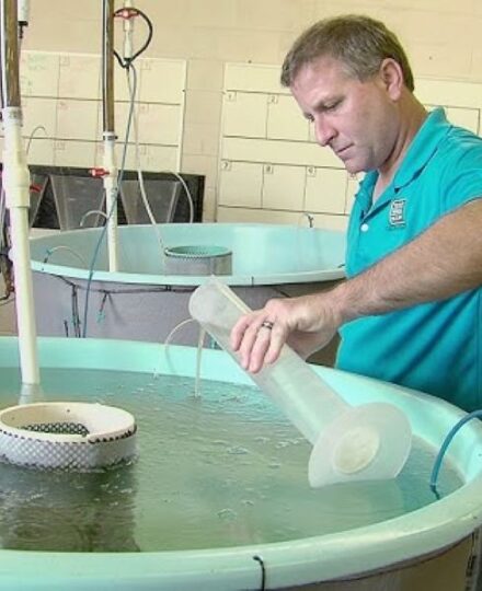 Sea Center Fish Stocking Sea Center Fish Stocking