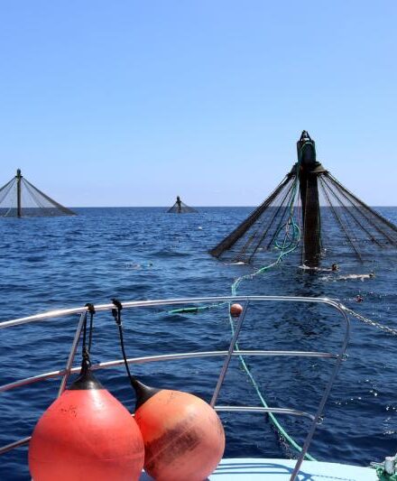 Climate Resilience and Aquaculture Climate Resilience and Aquaculture