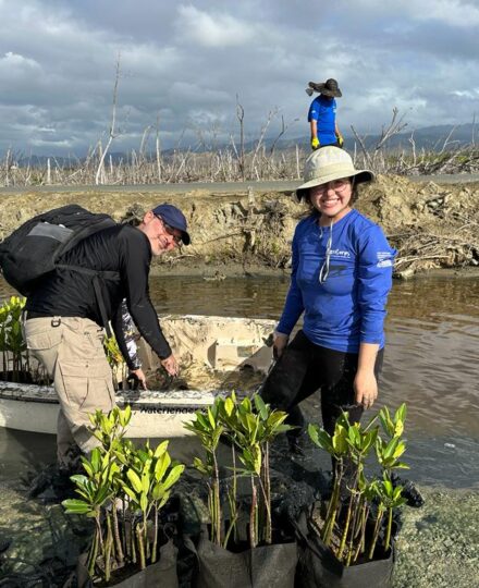 Rebuilding Puerto Rico’s Mangroves: How BoriCorps Creates Jobs for Young Professionals Rebuilding Puerto Rico’s Mangroves: How BoriCorps Creates Jobs for Young Professionals