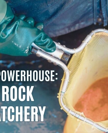 Coolwater Powerhouse: Table Rock Fish Hatchery Coolwater Powerhouse: Table Rock Fish Hatchery