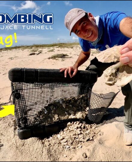 Beachcombing – Oyster Bag Beachcombing – Oyster Bag