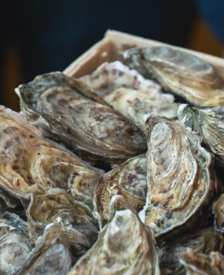 Alabama Shellfish Aquaculture Update: Production Year 2024 Alabama Shellfish Aquaculture Update: Production Year 2024