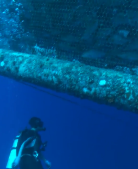 Aquaculture as Agriculture Video