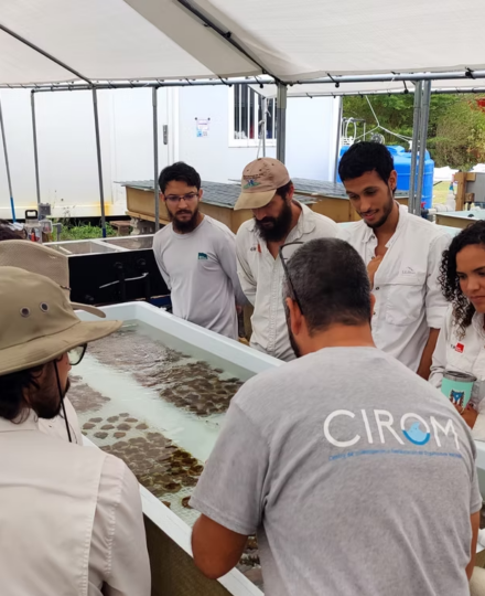 Center for Research and Restoration of Marine Organisms