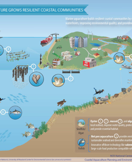 Aquaculture Grows Resilient Coastal Communities