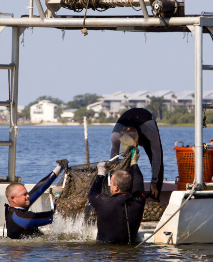Florida Shellfish: About the Industry Florida Shellfish: About the Industry