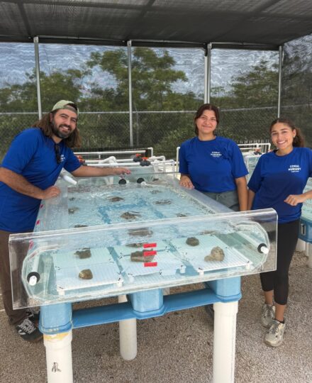 The Coral Nursery of Puerto Rico The Coral Nursery of Puerto Rico