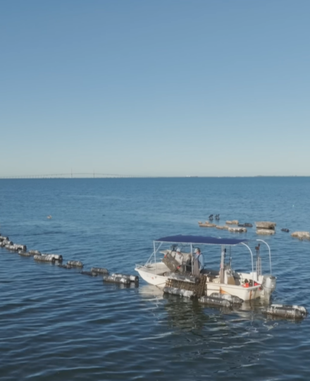Savoring Tampa – Ep 2: Fresh Off the Boat Savoring Tampa – Ep 2: Fresh Off the Boat
