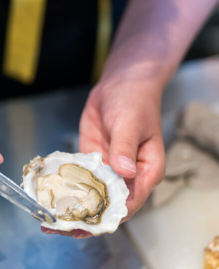 How to Shuck Oysters How to Shuck Oysters