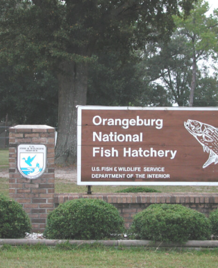 Orangeburg National Fish Hatchery