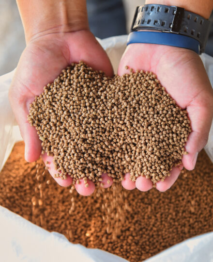 Feeds for Aquaculture Feeds for Aquaculture