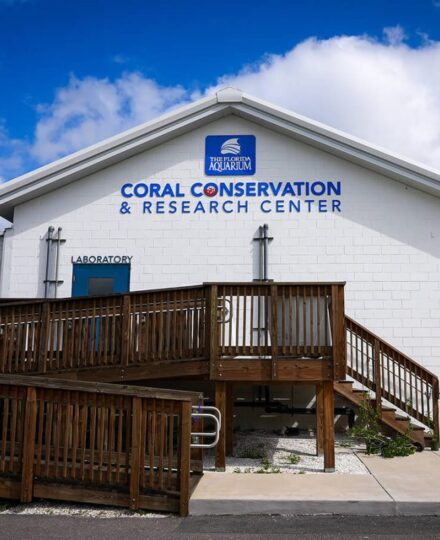 The Florida Aquarium’s Conservation Campus The Florida Aquarium’s Conservation Campus