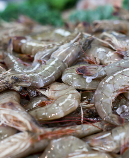Gulf Seafood: Sustaining Wildlife and Our Way of Life Gulf Seafood: Sustaining Wildlife and Our Way of Life
