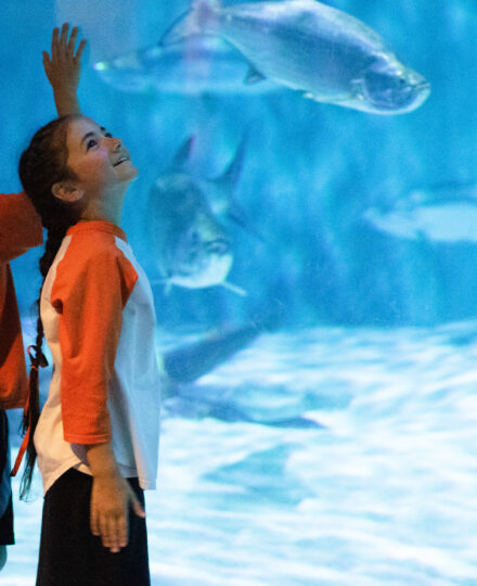 Audubon Aquarium Audubon Aquarium