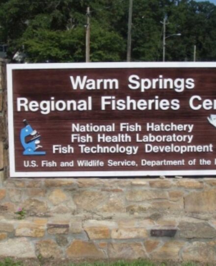Warm Springs National Fish Hatchery Warm Springs National Fish Hatchery