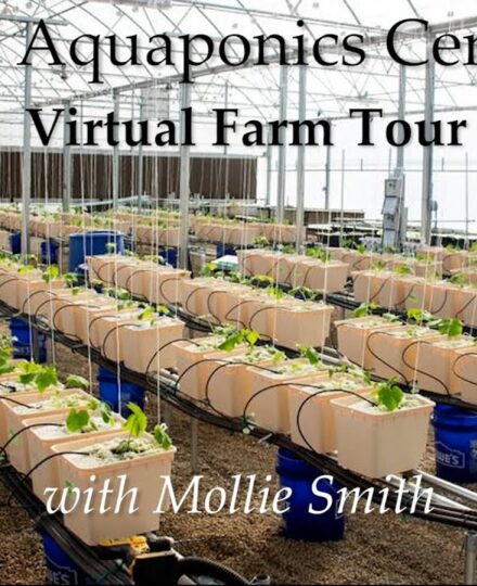 Alabama Virtual Farm Tour (Auburn University Aquaponics Center) Alabama Virtual Farm Tour (Auburn University Aquaponics Center)