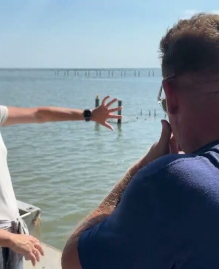 Discover Alabama Extension: Oyster Farming Discover Alabama Extension: Oyster Farming